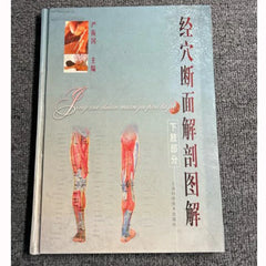 Used Acupuncture Meridian Cross-Section Anatomy Atlas - Full Color Medical Illustration Book