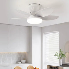 25 inch Ceiling Fans with Lights and Remote,Flush Mount Ceiling Fan,Reversible Quiet DC Motor Low Profile Ceiling Fans For Livin