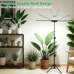 Full Spectrum LED Floor Grow Light for Indoor Plants, Dimmable with Timer, Adjustable Height 17-62", 6000K White Light