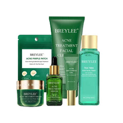 BREYLEE Clarifying Skincare Set — Cleanser, Toner, Cream & Mask