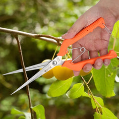 Garden Shear Plant Scissor 250mm Pruning Shear Cutter Gardening Plant Flower Scissor Branch Pruner Garden Tool Pruning Shear