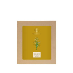 Forest Essentials Body Ubtan Turmeric, Orange Peel and Sweet Basil