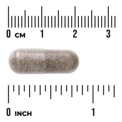 Fenugreek Extract - Featuring Testofen