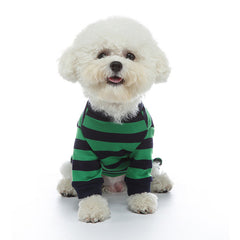 Vêtements tendance et originaux pour chien d'intérieur