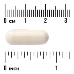 Digestitol with Enzymes & BioPerine