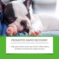 Dietary Supplements For Pets And Dogs