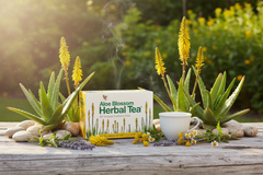 Tisane aux fleurs d'aloe vera