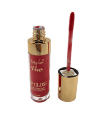 Ashley Lee Lipgloss 8ml