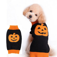 Pull tricoté citrouille d'Halloween pour animal et chien