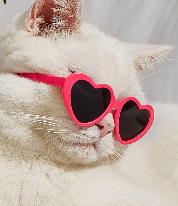 Gafas de sol para muñecas, accesorios de juguete para mascotas