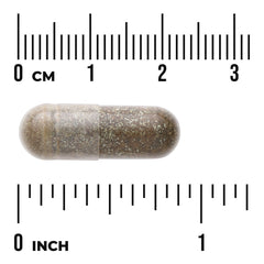 Holy Basil Extract - Standardized