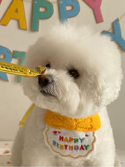 Bavoir et chapeau de décoration tendance pour chien