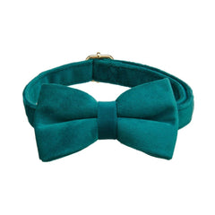 Peacock Blue Velvet Pet Neck Alloy Buckle Collar