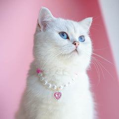 Collar de amor con cuentas para gatos