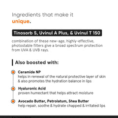 Baume à lèvres SPF 30 Minimalist pour protéger et nourrir