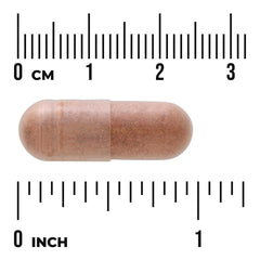 Cinnamon Extract