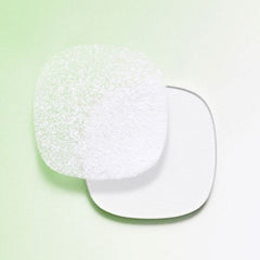 beplain Mung Bean Cotton Fit Powder Compact SPF30 PA+++ 7g