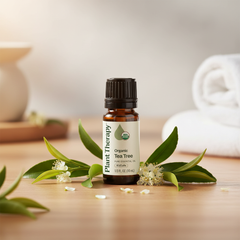 Plant Therapy Organic Tea Tree Pure Essential Oil – KidSafe, 10 mL