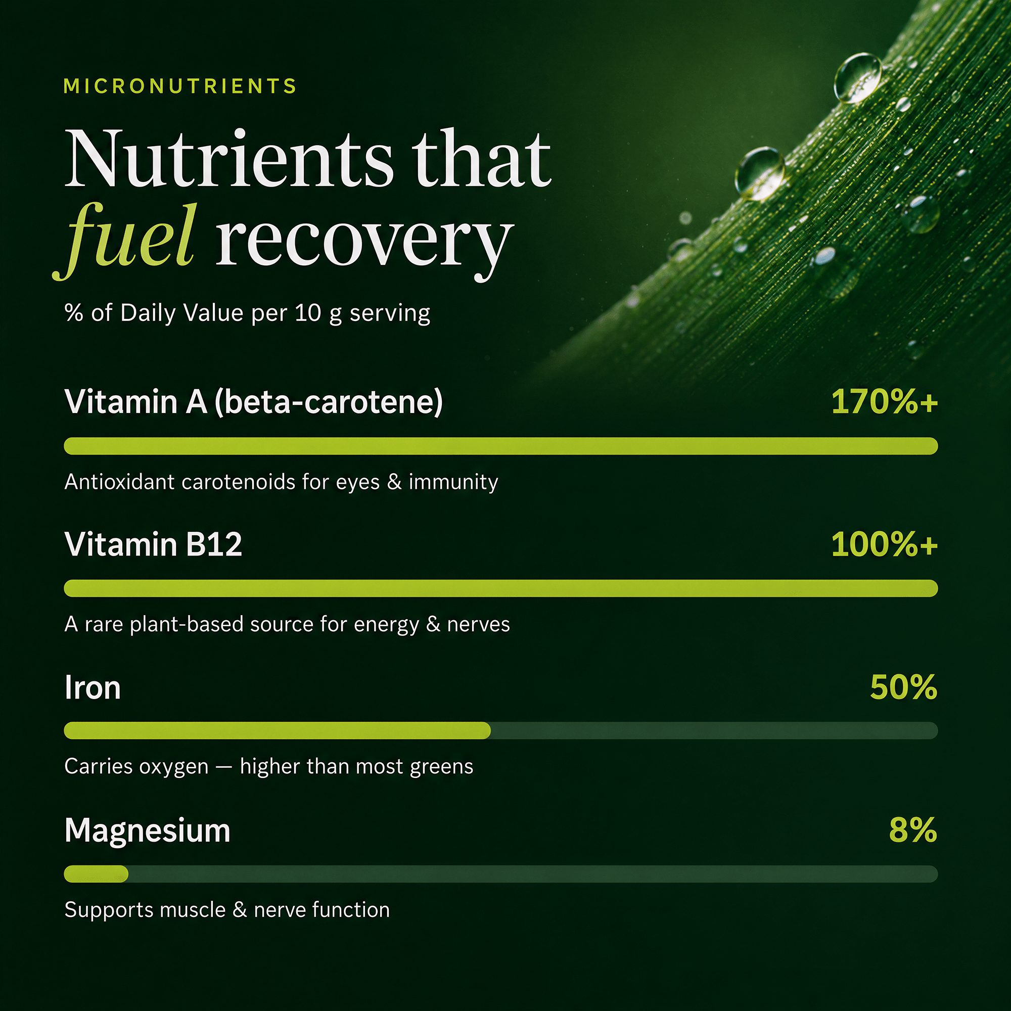 RECOVERYbits Chlorella Tablets back packaging with directions and benefits