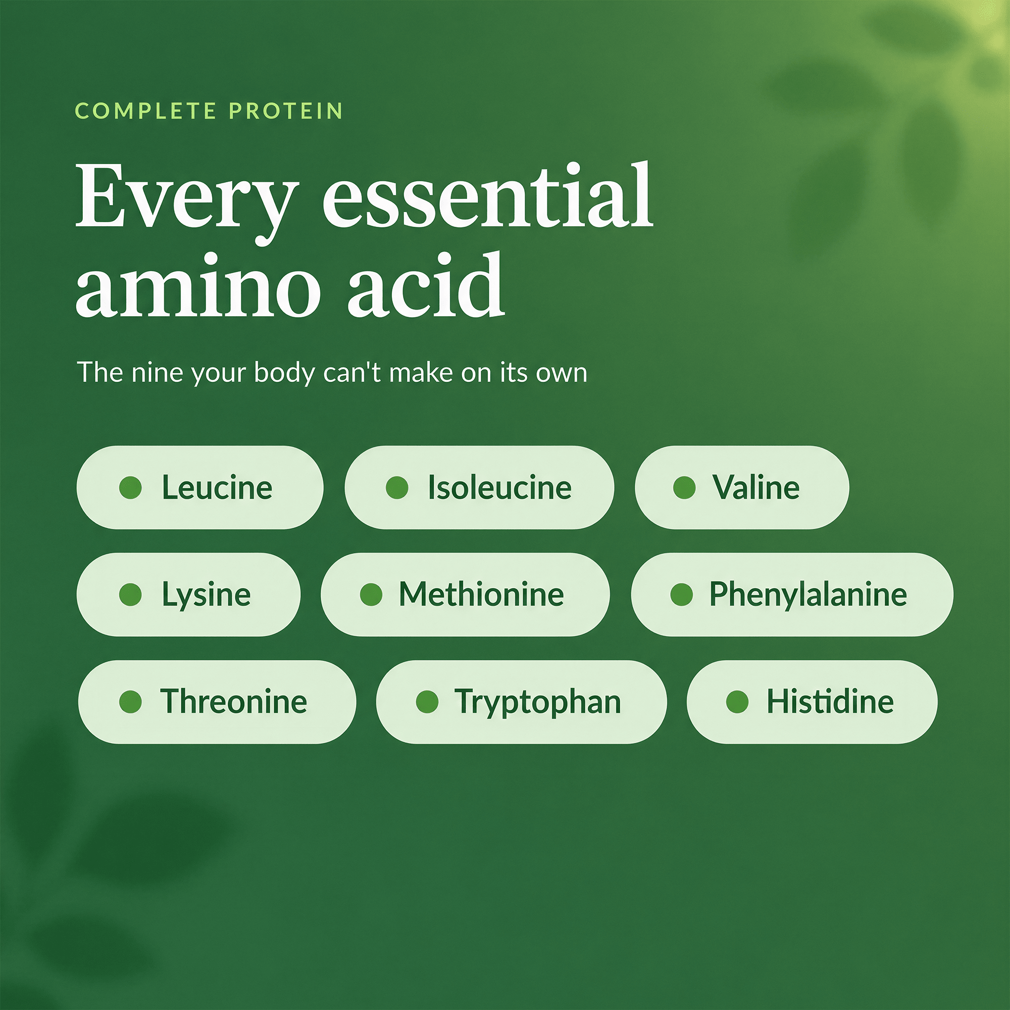 RECOVERYbits Chlorella Tablets benefits diagram and nutritional value graphic