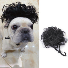 Halloween Weihnachtsperücke Haustier Haarschmuck