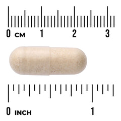 Prostate Essentials
