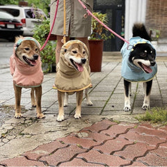 Imperméables pour grands chiens, sans gêner la marche
