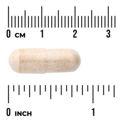 Pygeum - Standardized Extract