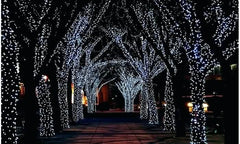 Solar-Powered 100 LED Fairy Light String - Assorted Colors