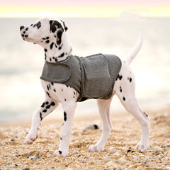Vêtement pour chien, veste anti-anxiété et gilet chaud