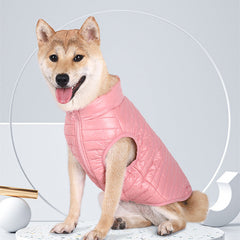 Veste pour chiot entièrement en nylon avec fermeture éclair, automne-hiver