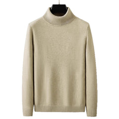 Skin-friendly Casual Warm Turtleneck Sweater For Men
