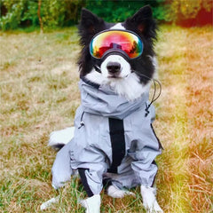 Imperméable tactique pour chien, veste shell réfléchissante, poncho imperméable