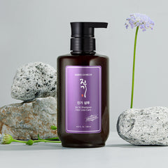 [Daeng Gi Meo Ri] Jin Gi Shampoo 500ml
