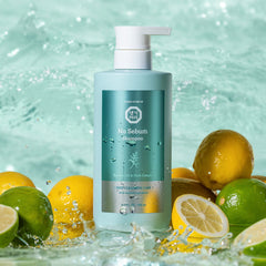 [Daeng Gi Meo Ri] No Sebum Shampoo 500ml