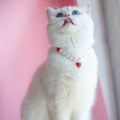 Collar de amor con cuentas para gatos