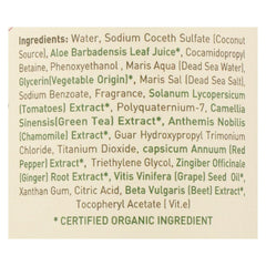 Ecolove Shampoo - Red Vegetables Shampoofor Normal To Oily Hair - Case Of 1 - 17.6 Fl Oz.
