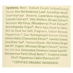 Ecolove Shampoo - Purple Fruit Shampoo For Colored And Very Dry Hair - Case Of 1 - 17.6 Fl Oz.