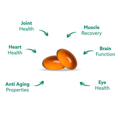 Cross-border Exclusive Green-lipped Mussel Oil Capsules