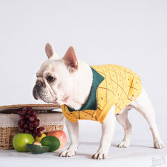 Vêtements pour chiens