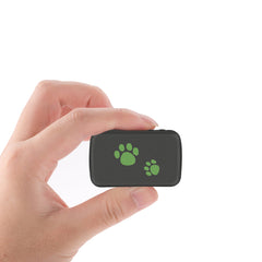 Traceur GPS anti-perte pour animaux en PVC