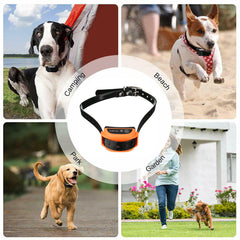 Système de clôture électrique sans fil pour chien, étanche et avec vibration