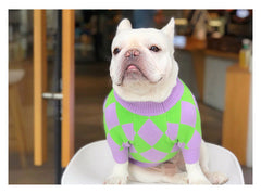Pull pour chien en tissu à carreaux tendance