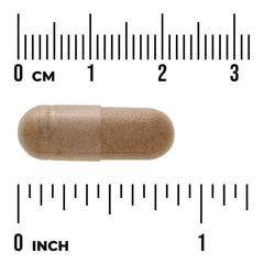 Full Spectrum African Mango Irvingia Gabonensis
