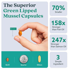 Cross-border Exclusive Green-lipped Mussel Oil Capsules