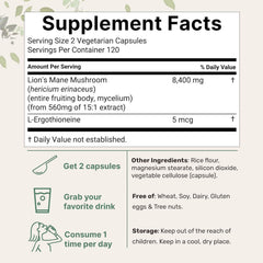 Lion Mane Capsule Refined Sulfur Phosphorus