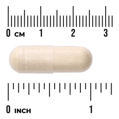 Saccharomyces Boulardii with Prebiotic MOS