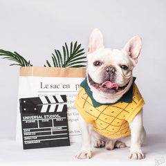 Vêtements pour chiens