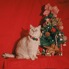 Pet Christmas Limited Ball Bib