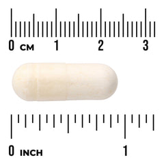 Ultimate Probiotic Formula
